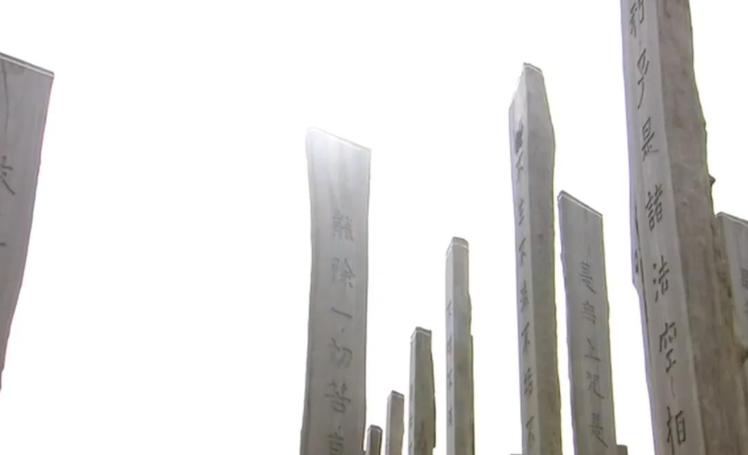 少林功夫有多神奇？英国混混被送到中国学功夫，仅需一周脱胎换骨