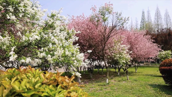 一班走出三院士、还坐拥“全国最美”盛誉！江苏这所双一流吸引世界目光！