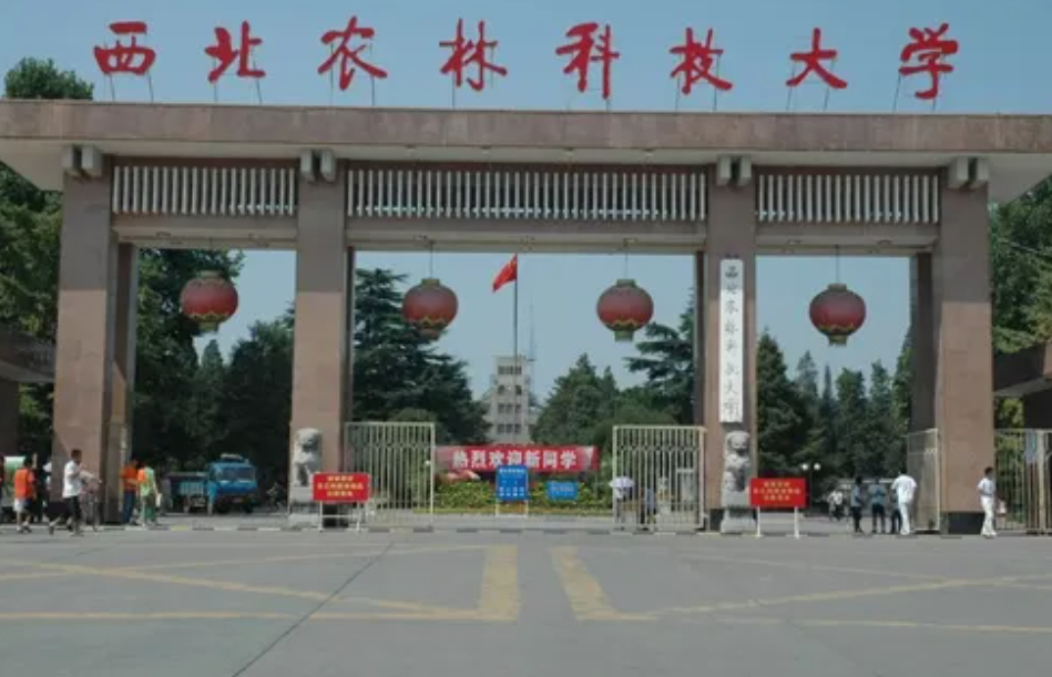 985大学“档次排名”更新，人大排名出人意料，东北大学吊车尾