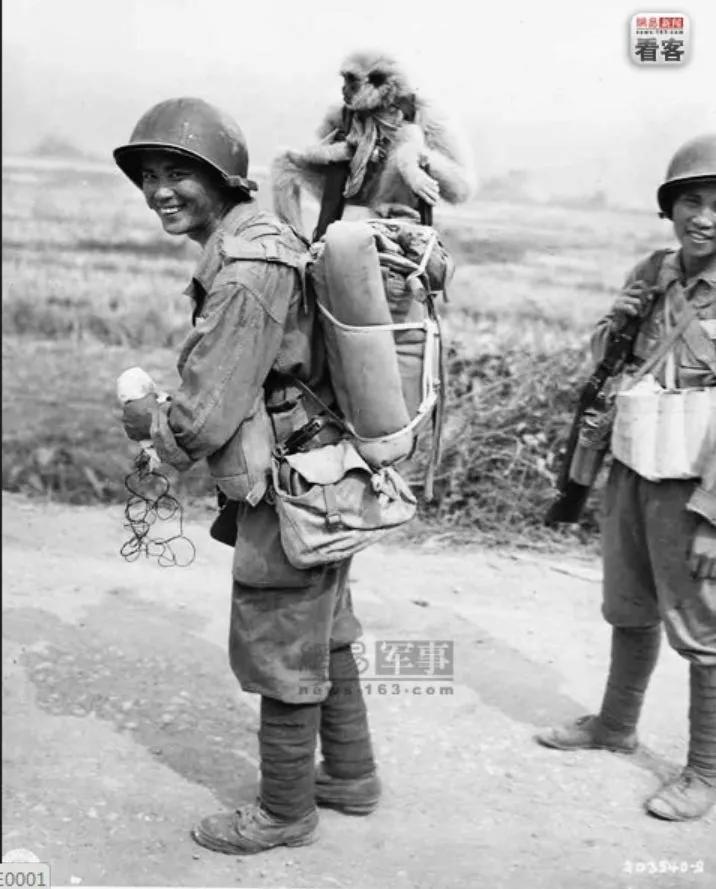 ����ս����ʵ��Ƭ�󹫿���ս����ǰ����������С��