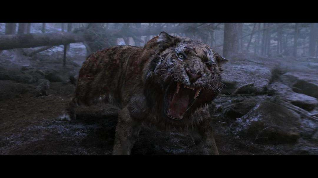 《大虎》复仇的独眼虎怎么可能会饶恕杀它一家的捕猎者