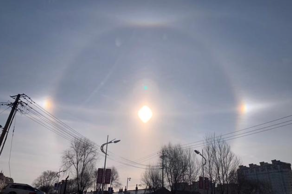 ��ѧ�ҷ���һ�ų������򣬾����22���꣬��������ƶȴ�84%