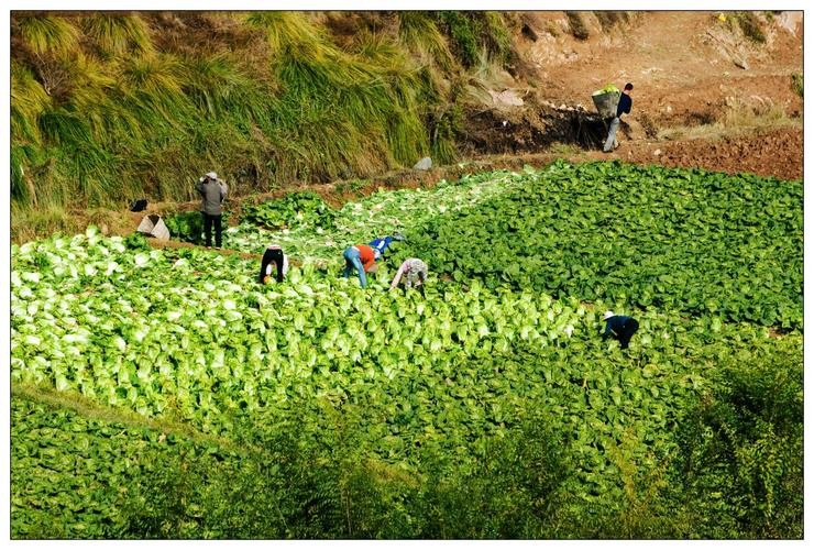 河南15岁男孩父亲去世，和母亲低保度日，4年后，以677分考上清华