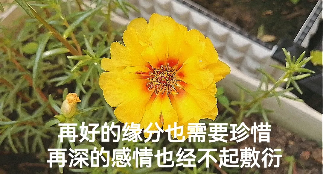 适合发朋友圈的情感语录！（精辟经典引人共鸣）