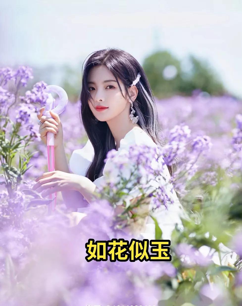 明星俏佳人：四大杨姓小姐姐！事业女强人#天生丽质#落落大方#