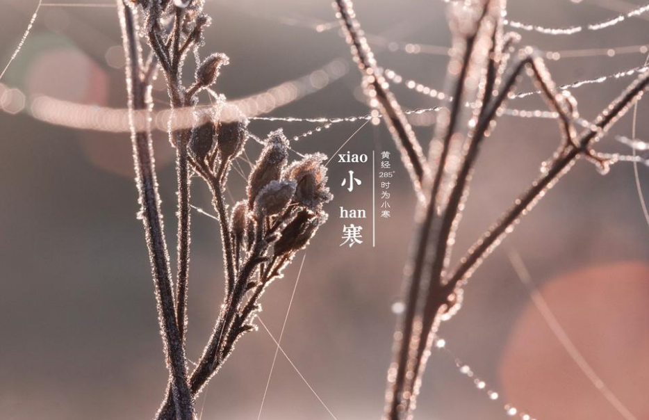 「原创诗词」靳凌震 | 恋过千般雪，唯有腊梅香（二十四节气诗词）