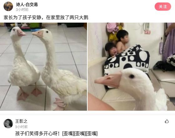 “本人姓连，宝宝快出生了该起个什么名字？”这届网友太坏了