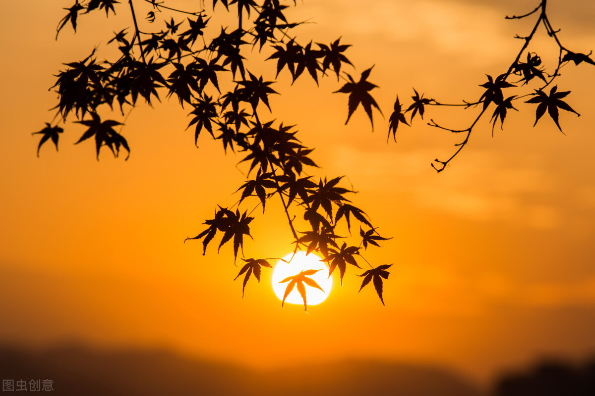 一些语言优美的写风短诗