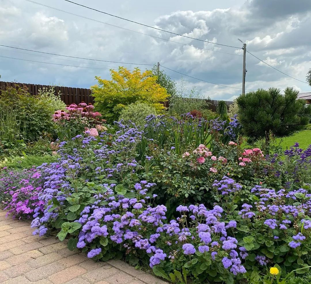 25种花境设计，让生活更美好，你最喜欢哪种？