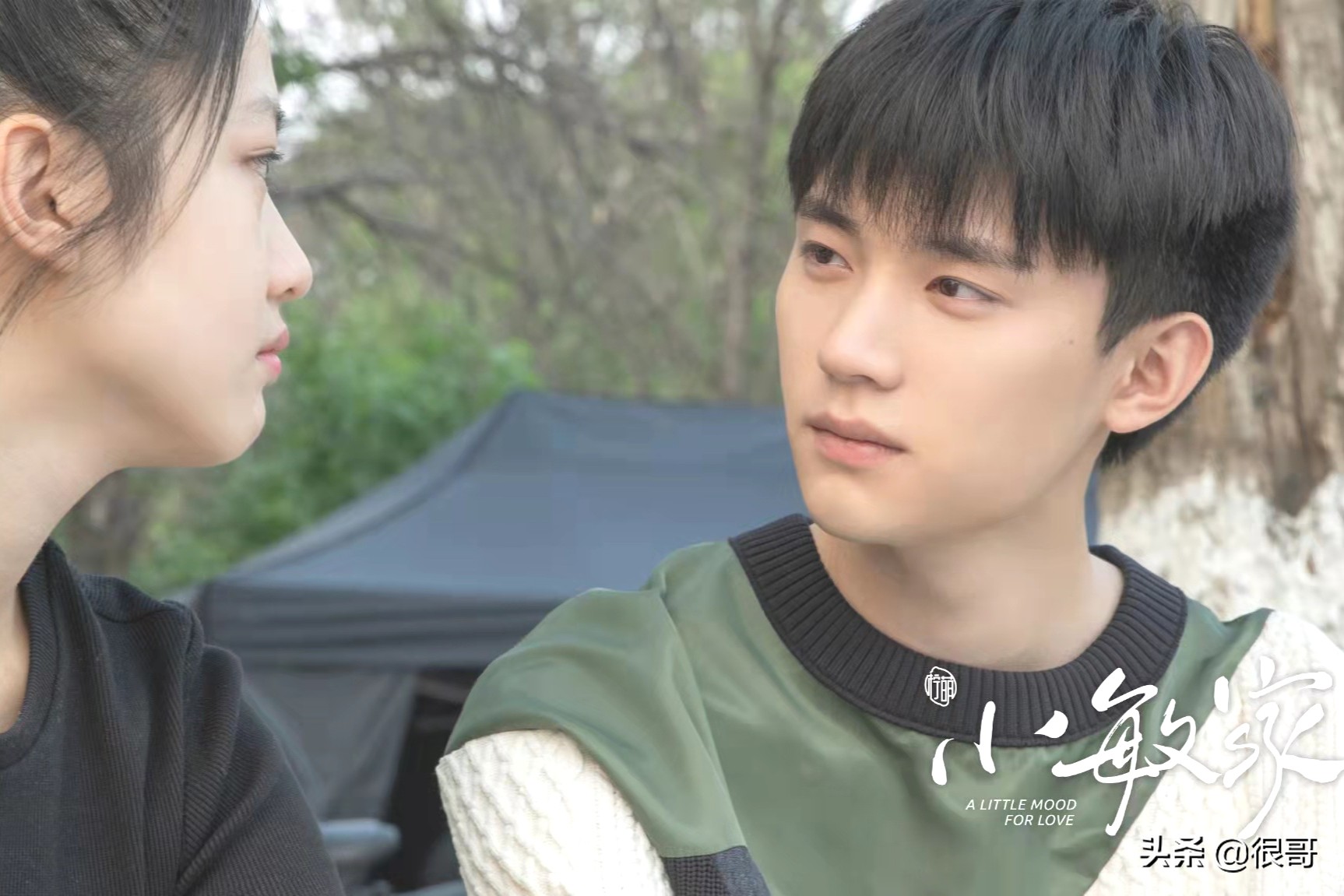 《小敏家》演员学历比拼，黄磊毕业于北电，周迅和董卿是校友