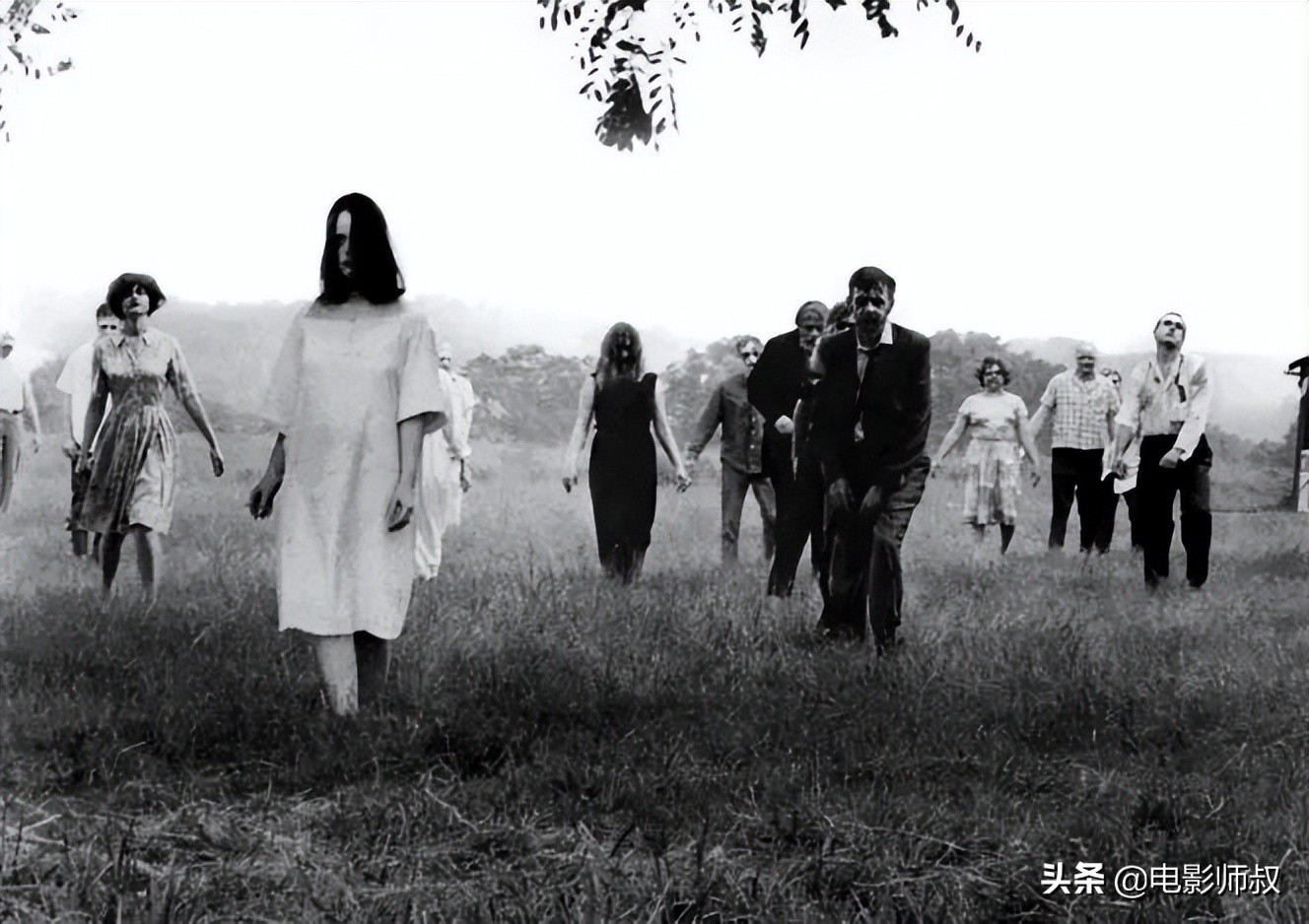 这玩意真香，13部经典丧尸片