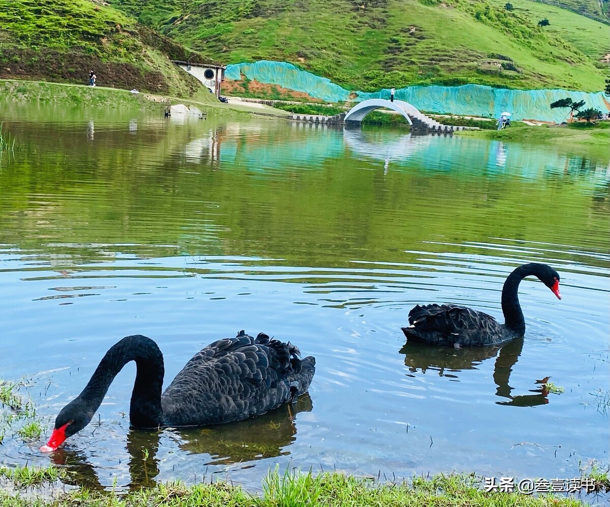 三孩妈妈告诉你，为什么要生三胎？
