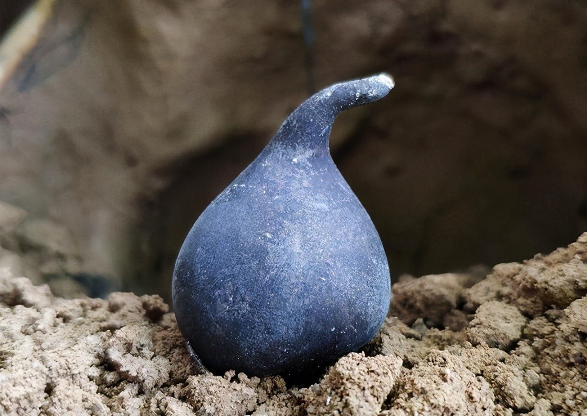 为何挖到乌灵参的人不愿卖呢?