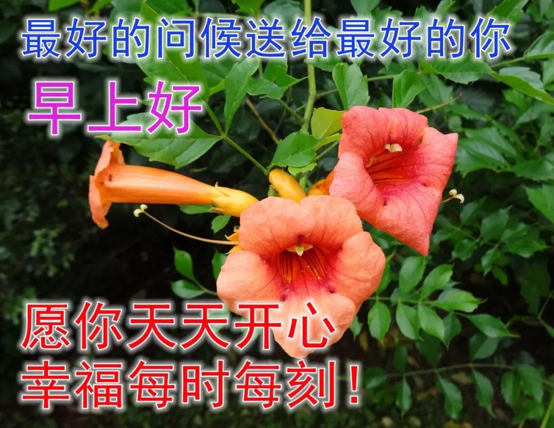快乐开心早上好祝福图片 美好祝福早安问候图片