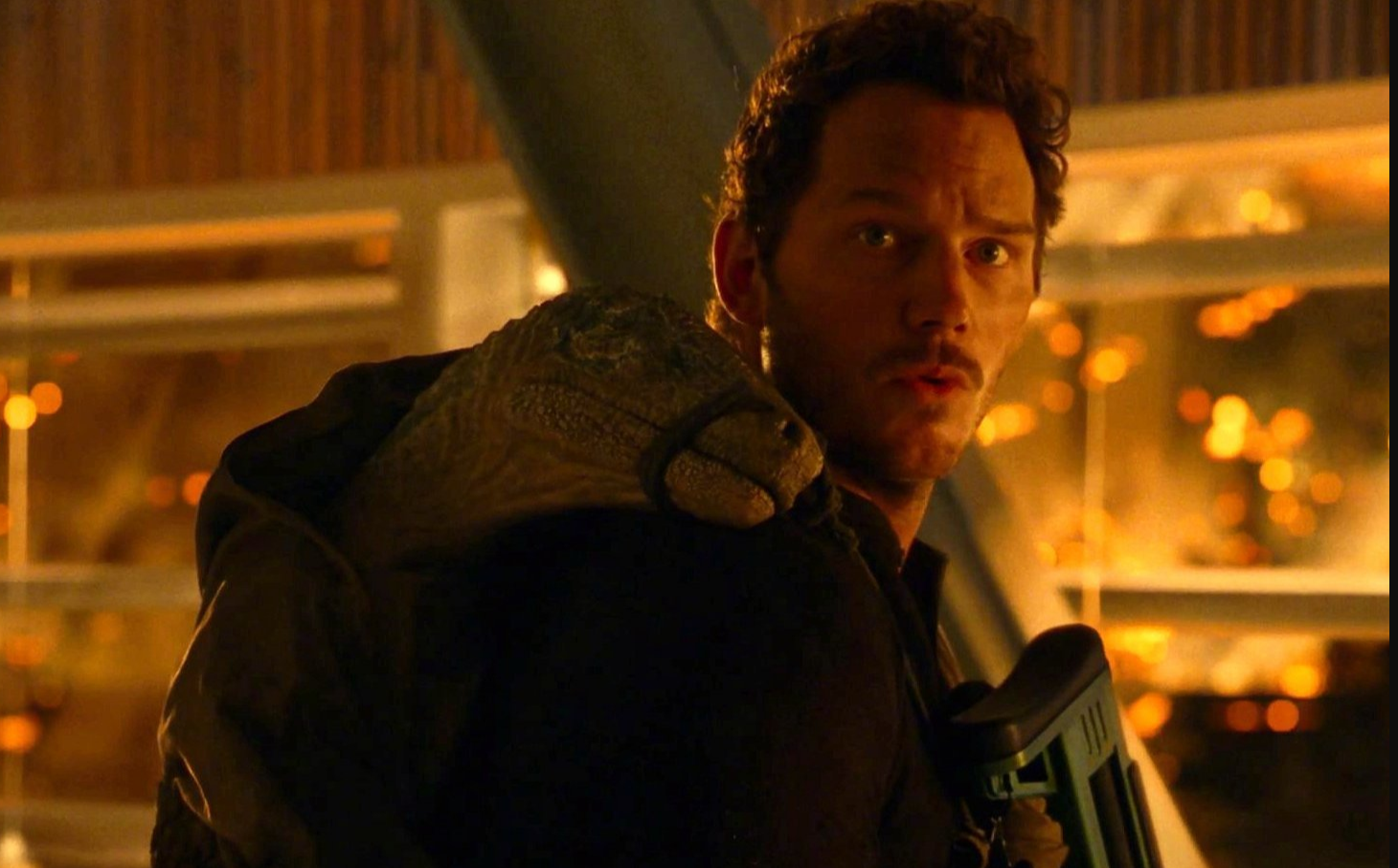 拍完雪藏3年，新版《陈真》上映，首日票房仅295元，观看人数8人