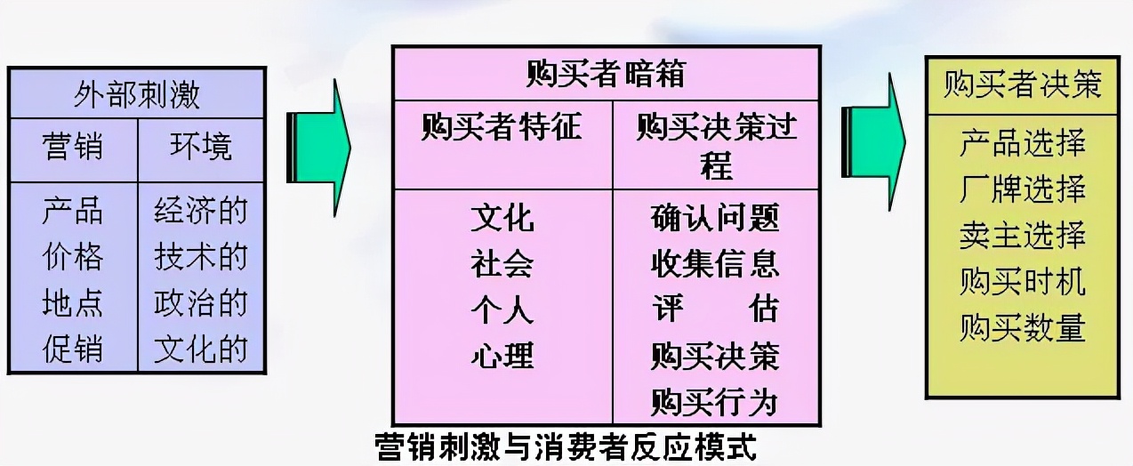 消费者购买行为,消费者购买行为类型