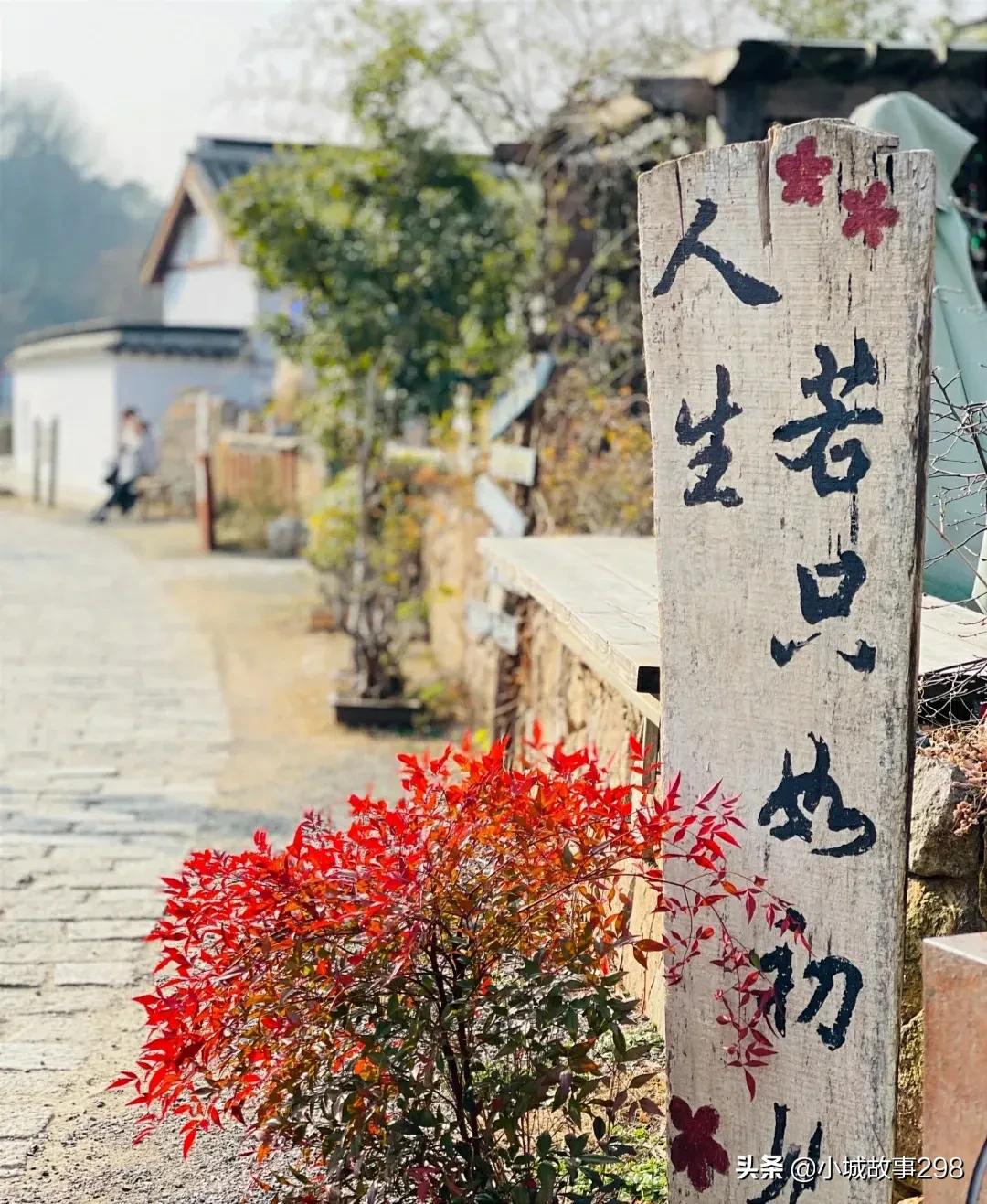 老山脚下的一个小村庄，溪水长流，炊烟袅袅——最美不老村