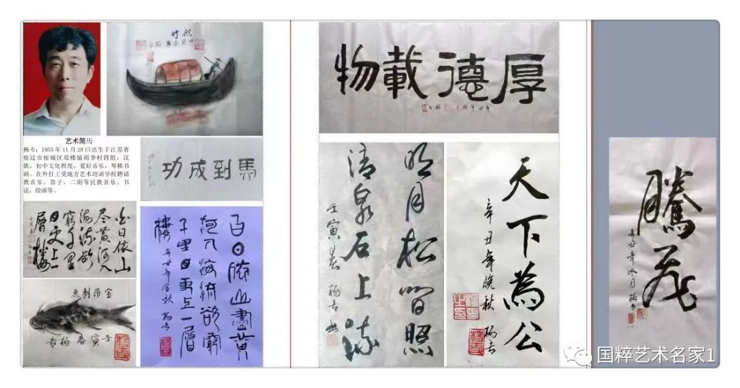 国粹艺术名家——杨专