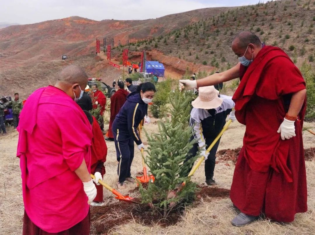 临潭县四大班子领导带头参加春季义务植树活动