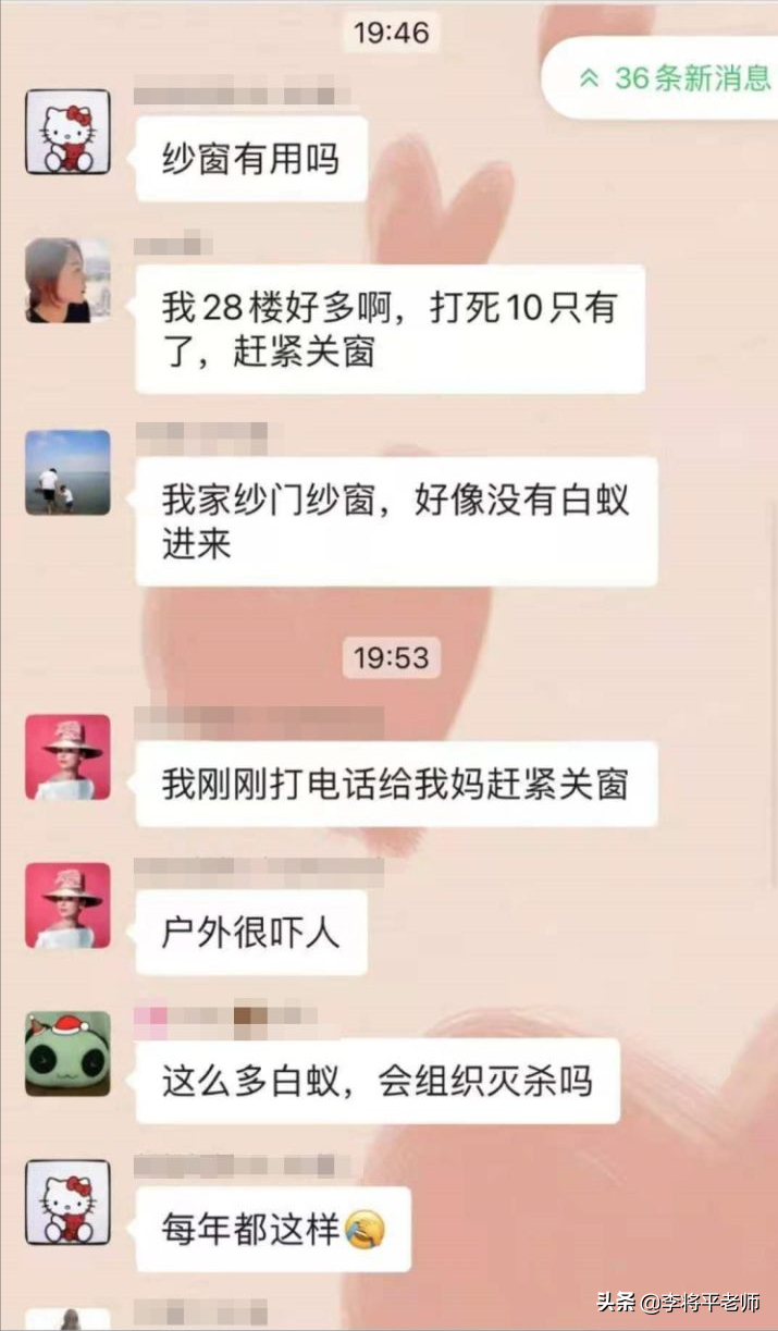 刘畊宏边直播边打白蚁,为何上海白蚁先一步复工复产,能灭绝吗?