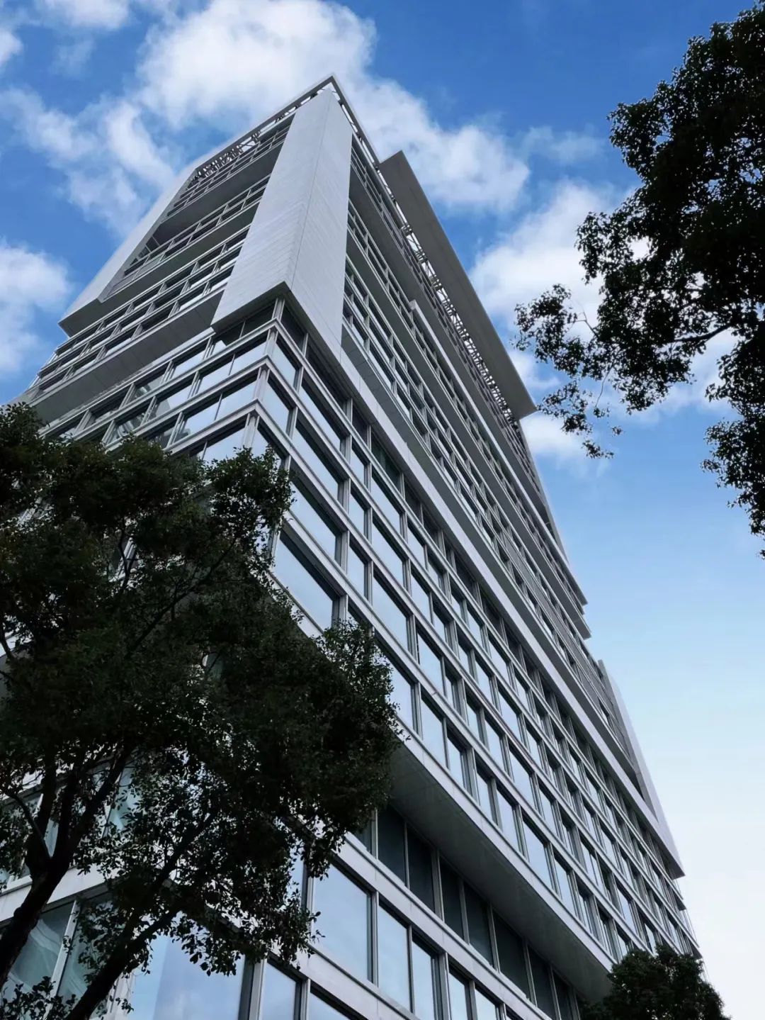 丽适岩板：在全球化格局下，构建高端品牌+产品矩阵 丨老总专访