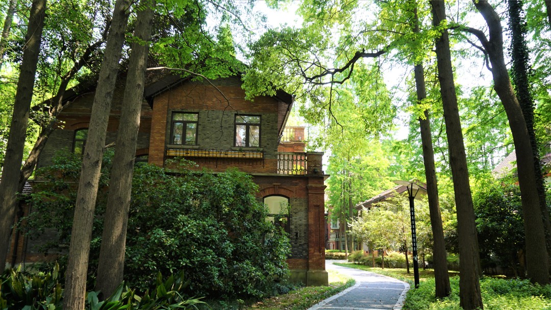 上海理工大学是魔都高校中的小确幸