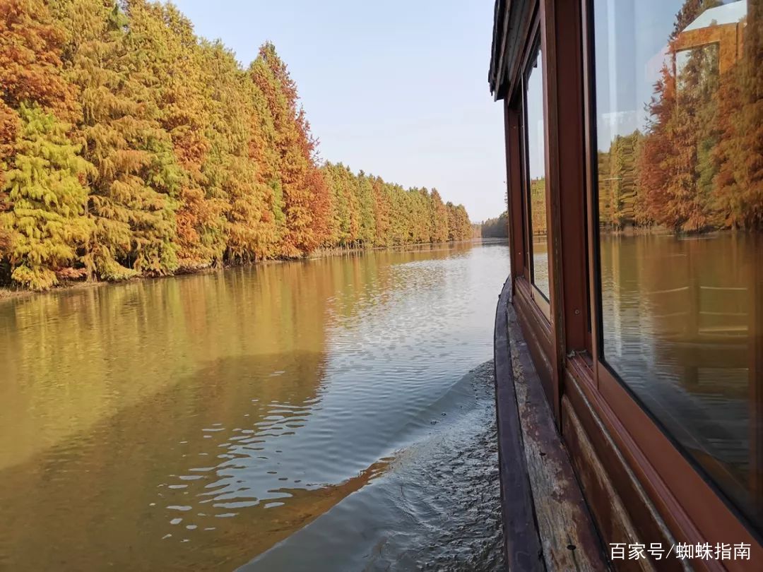 上海金秋去哪玩？必打卡这6个宝藏旅行地，遇见魔都最美的秋色