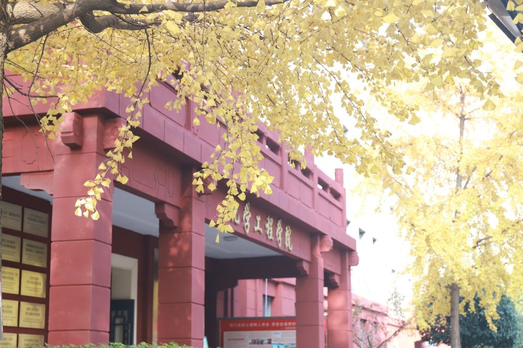 又一年度重磅名单揭晓，全国12人入选，这位四川教授赫然在列！