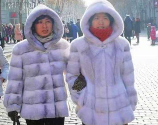 东北人都穿貂？以前上万一件的裘皮大衣，为何越来越不值钱了？