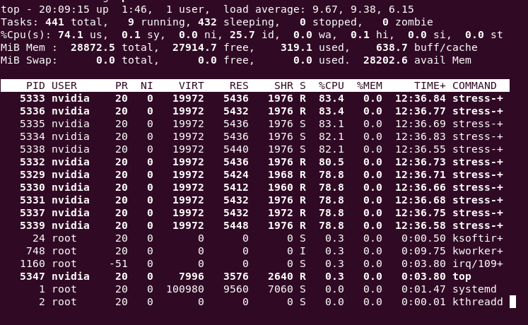 XPU Performance Test