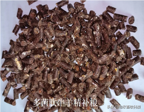 外购瘦弱牛或牛犊短时间育肥的诀窍，每头牛三个月赚3千很容易