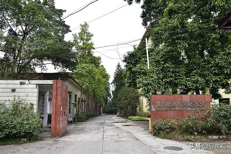 探秘重庆这座消失的“宇宙”大学，到处是荒废的宿舍楼