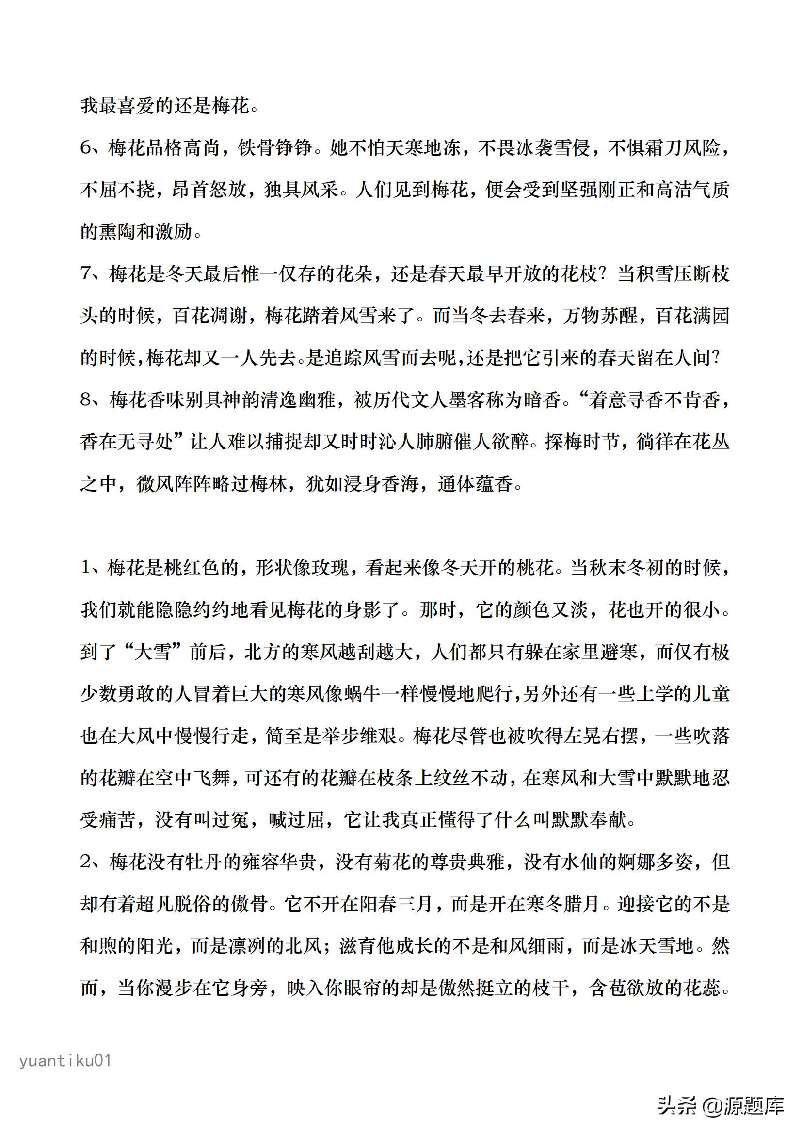 描写梅花的好词好句好段，孩子可以摘抄下来