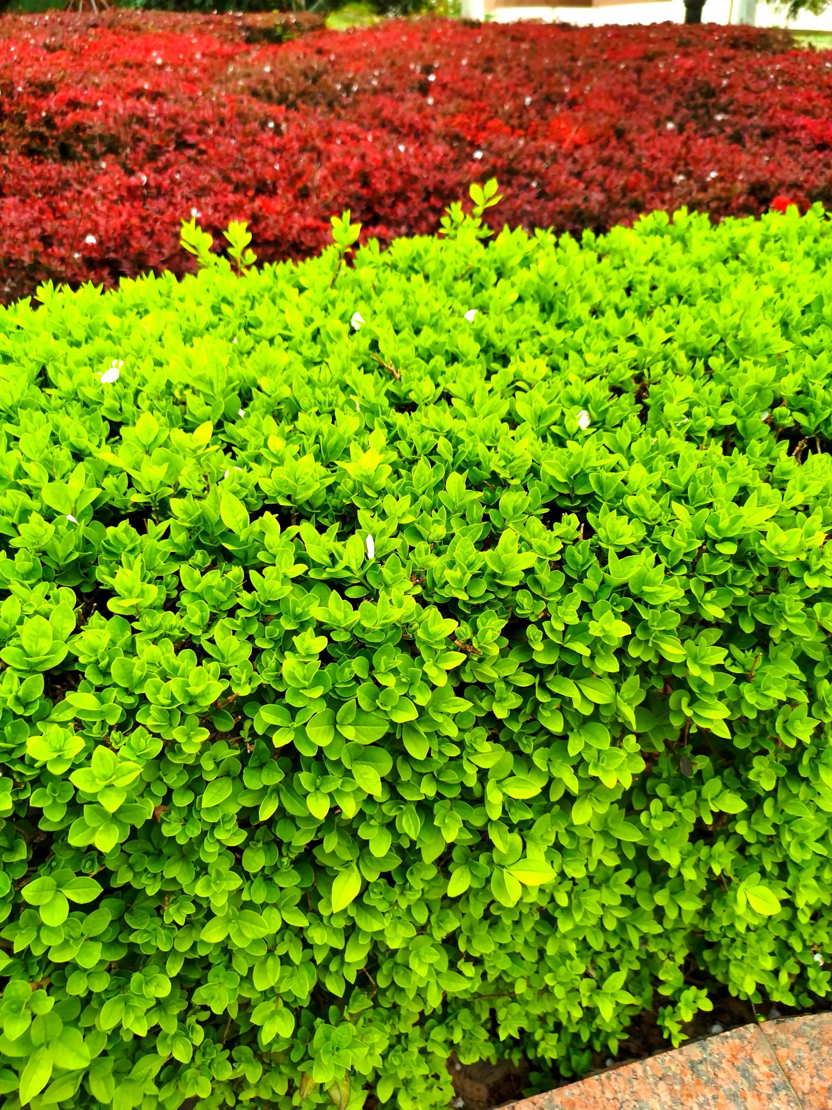 建设工程鉴定常识