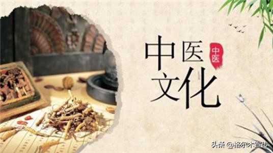 格尔木：薪火相传 大力弘扬中医药传统文化