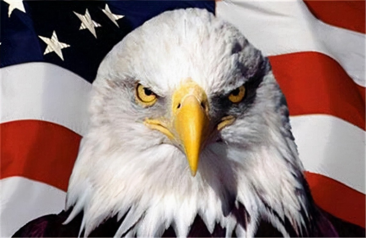 ��Ȩʱ���Ļƻ裡�ж����ѷ׷��������������ǡ���֮������