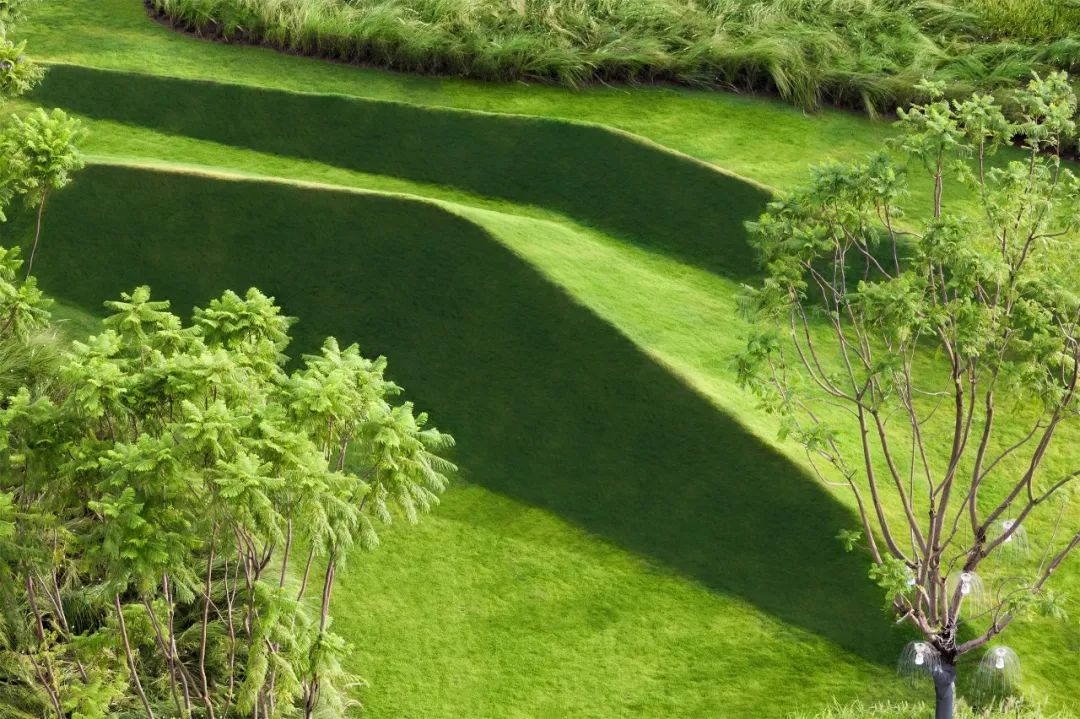 美妙的公园设计，是“纯欲天花板”