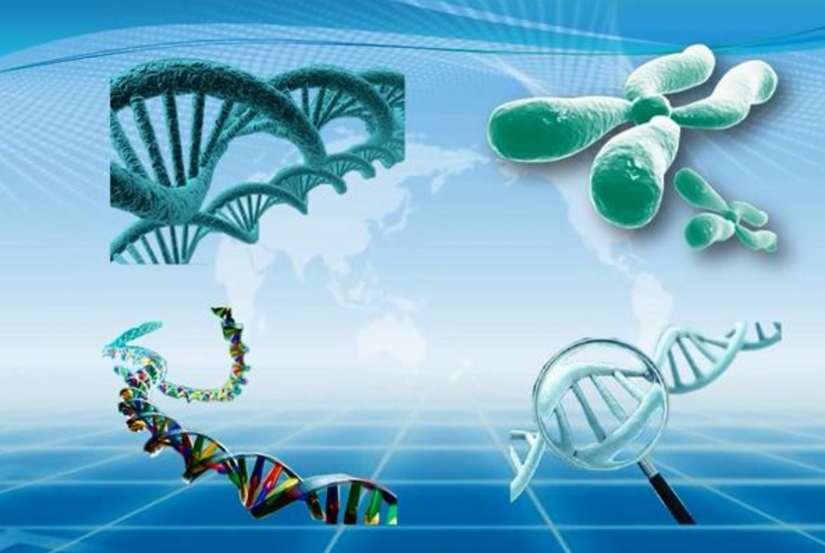 维特里希：诺贝尔化学奖得主，拿到中国绿卡和获得诺贝尔一样开心