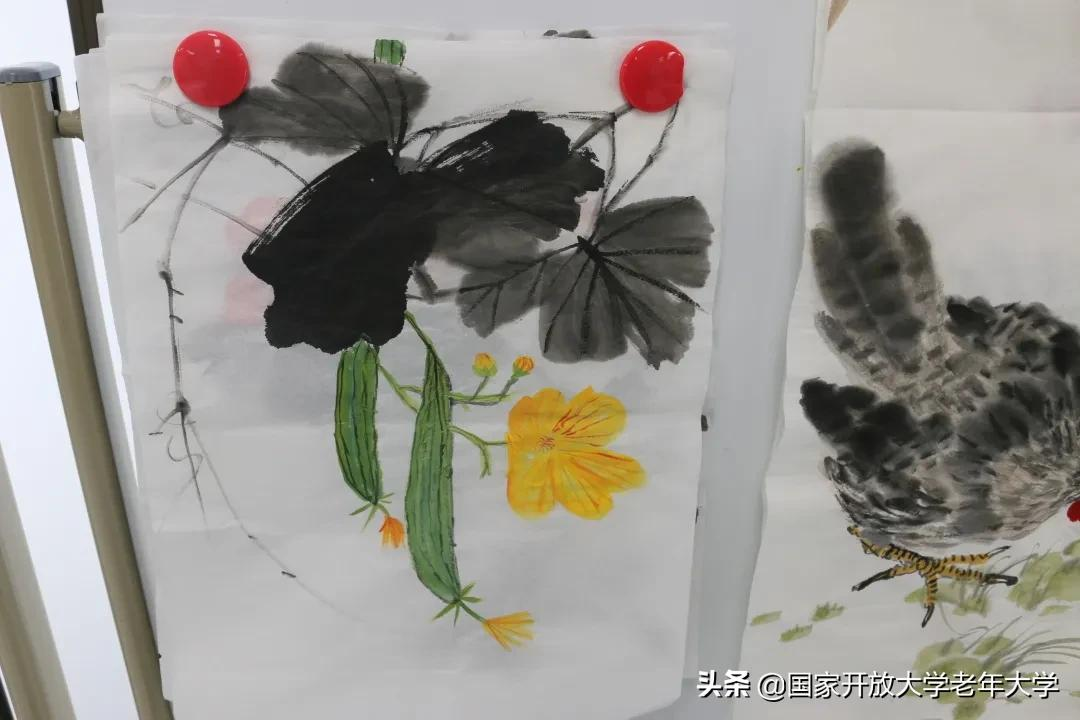 在校园·第九周 | 学习热情会“传染”，跟学员们一起跳起来