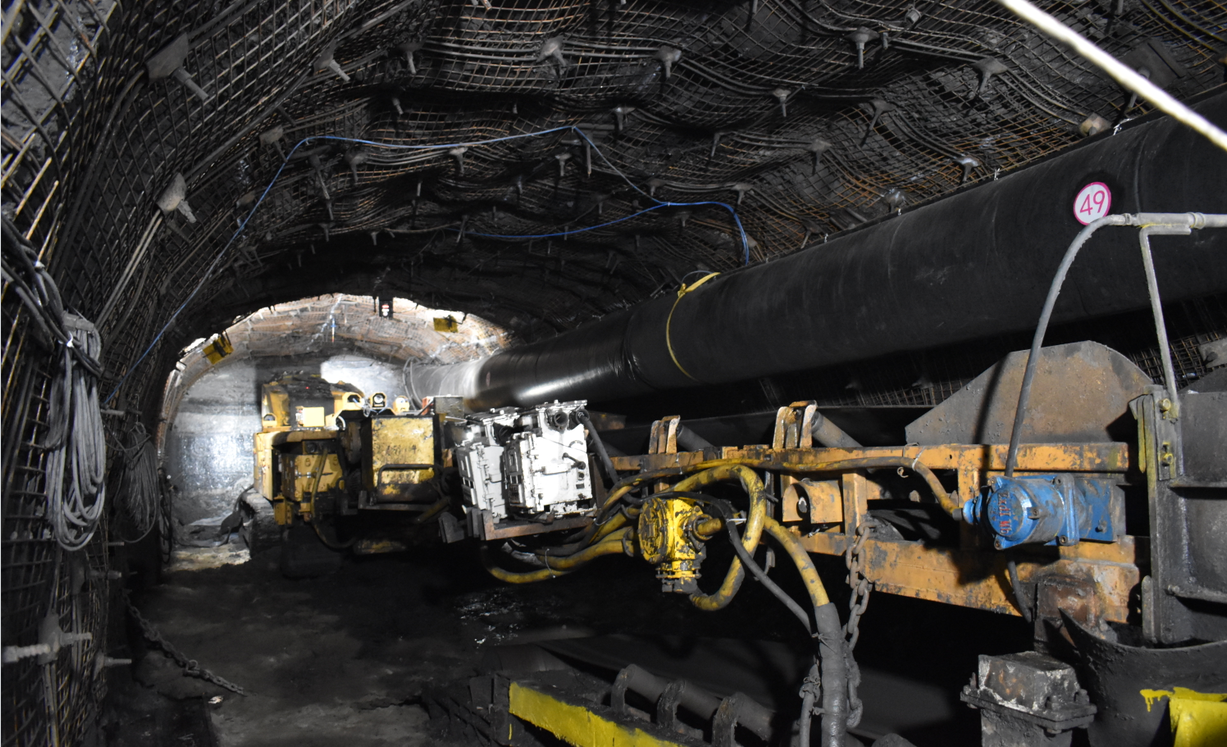 山脚树矿科技创新项目加快推进