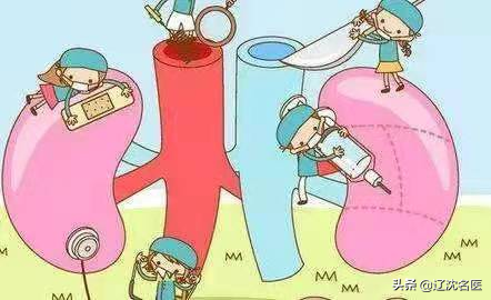 春季如何保护肾健康