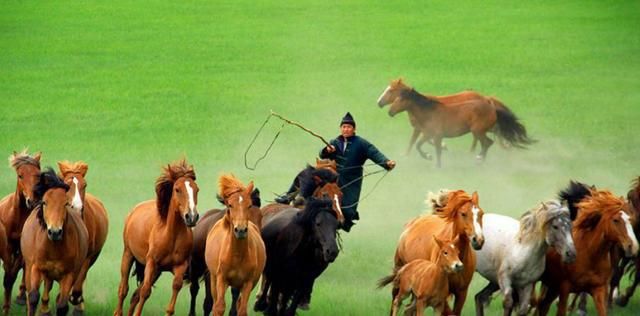 不受待见的杂号将军马援，为什么会变成万人景仰的大英雄？