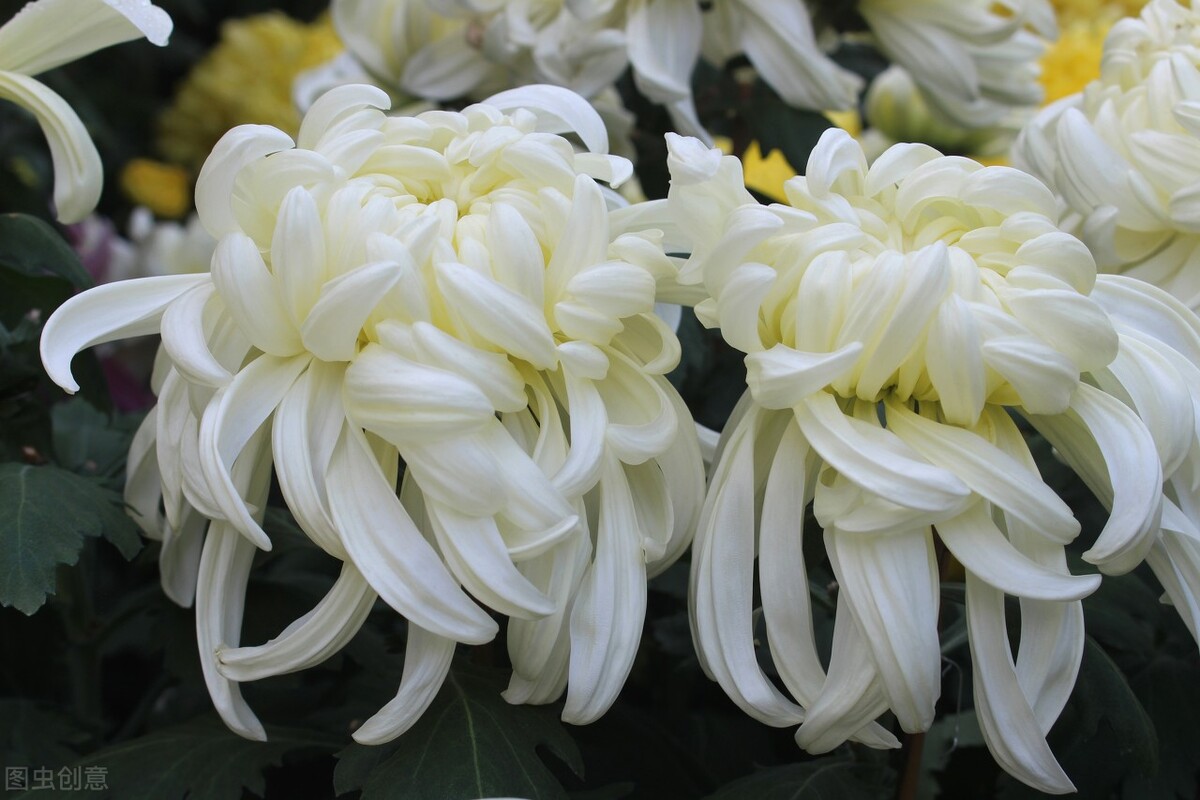 关于父母的说说搞笑图片(熬夜说说配图搞笑图片) _晶羽文学网