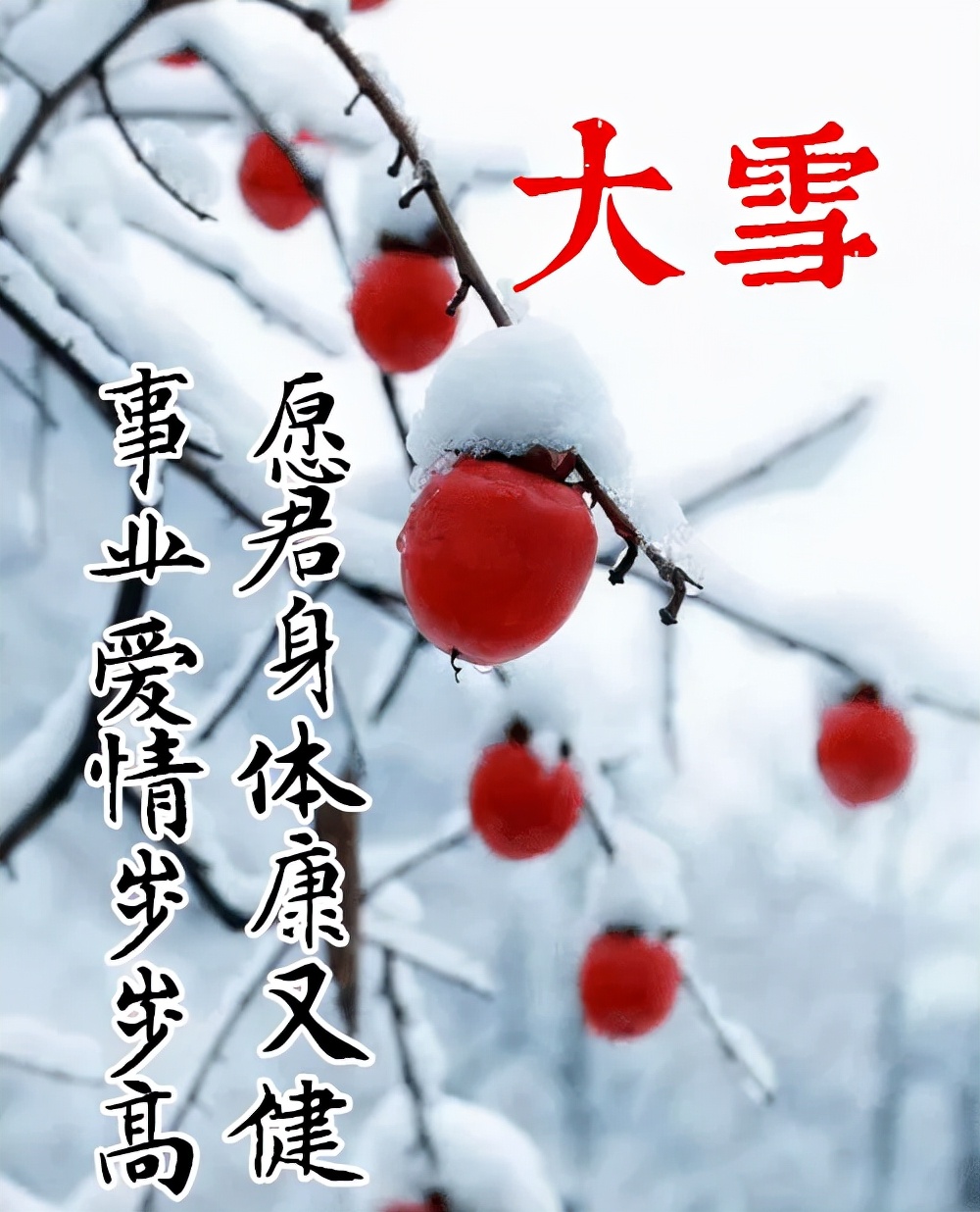 今日大雪，不管天下不下雪，我们都要让美好的心情，早安