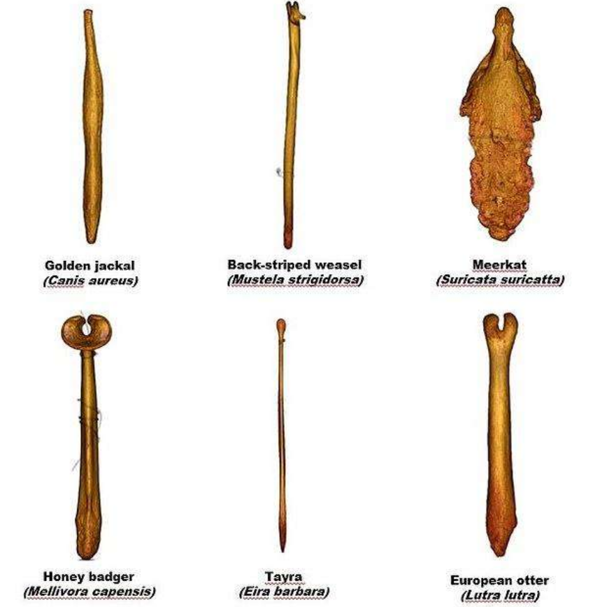 ����Ϊʲô��ʧȥ�������ǡ��������ǽ������ƣ����ǵ����ˣ�