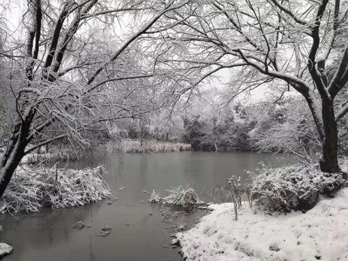 七绝 西湖雪景