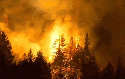 评分最高的灾难电影TOP7！《后天》未进前三，你最喜欢哪一部？