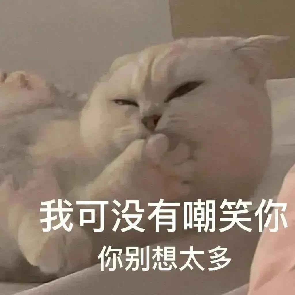搞对象用的可爱猫咪表情包 谁又会在乎我的感受呢