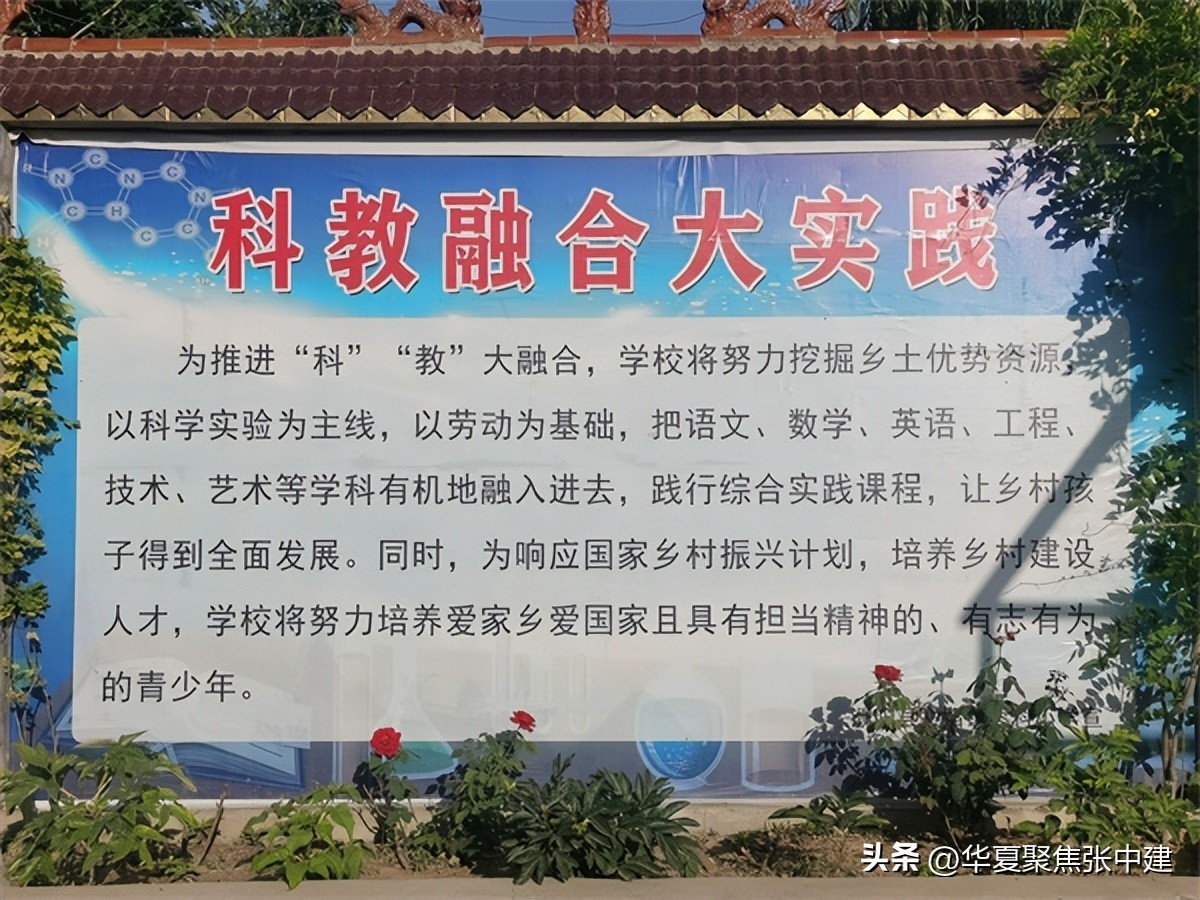 河南省濮阳县文留镇枣科小学张广明(图11)