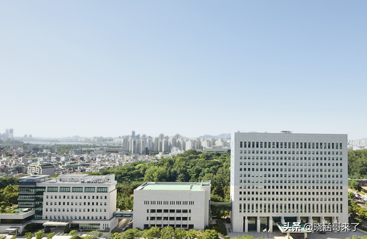 凌驾于财阀和总统之上的韩国检察院，权利到底有多大？